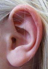 Une oreille humaine