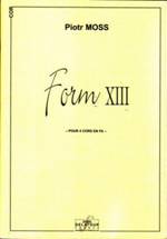  Form XIII